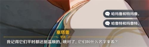原神3.1两只猫名字分享一览_原神两只猫名字答案选项一览