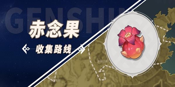 原神赤念果位置2023最新大全_原神赤念果怎么采集