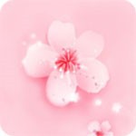 香蕉视频安装包下载安装