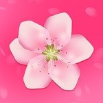 樱花影视手机版下载大全