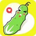 998影视免费下载