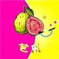 快狗视频app下载地址