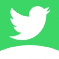 黄金网站app播放器
