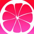 新大师兄影视下载安装