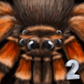 终极蜘蛛模拟器2(Spider Colony Simulation 3D)下载最新版本2023