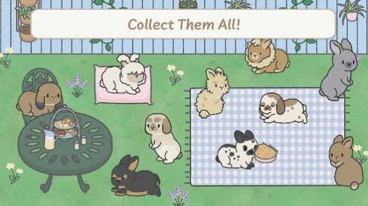 兔兔天堂（Bunny Haven）1